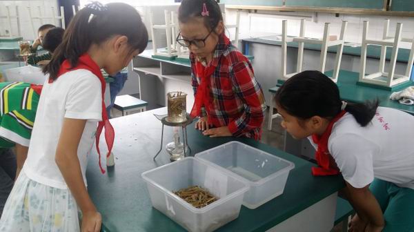 成都市温江区东大街第二小学学生探究性实验喜获省一等奖-1-600.jpg