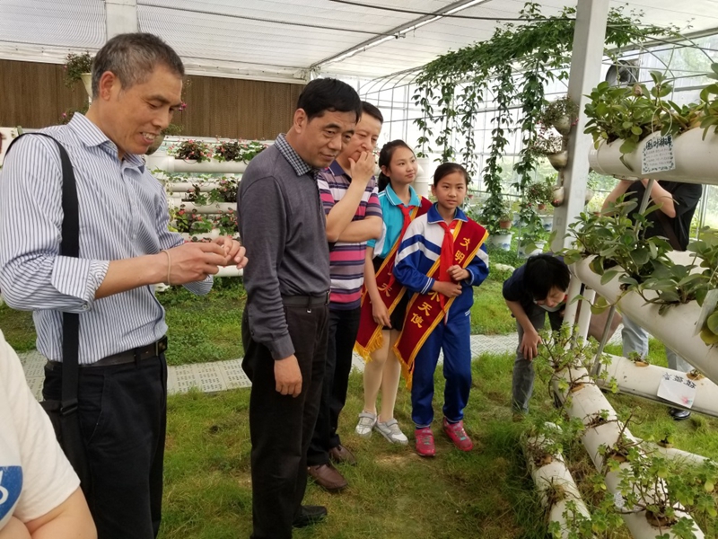 龙泉4.jpg 龙泉4.jpg