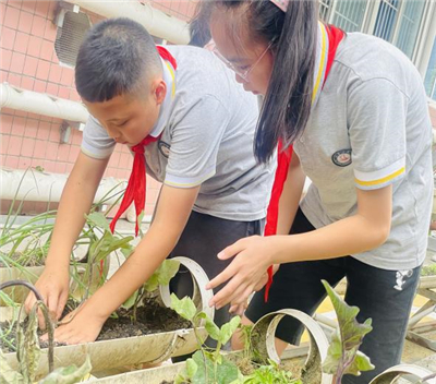 image8.jpg image8.jpg