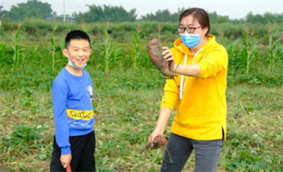 图片21.png 图片21.png