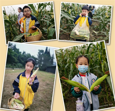 图片25.png 图片25.png