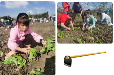 图片29.png 图片29.png