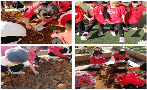 图片4.png 图片4.png