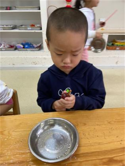 图片6.png 图片6.png